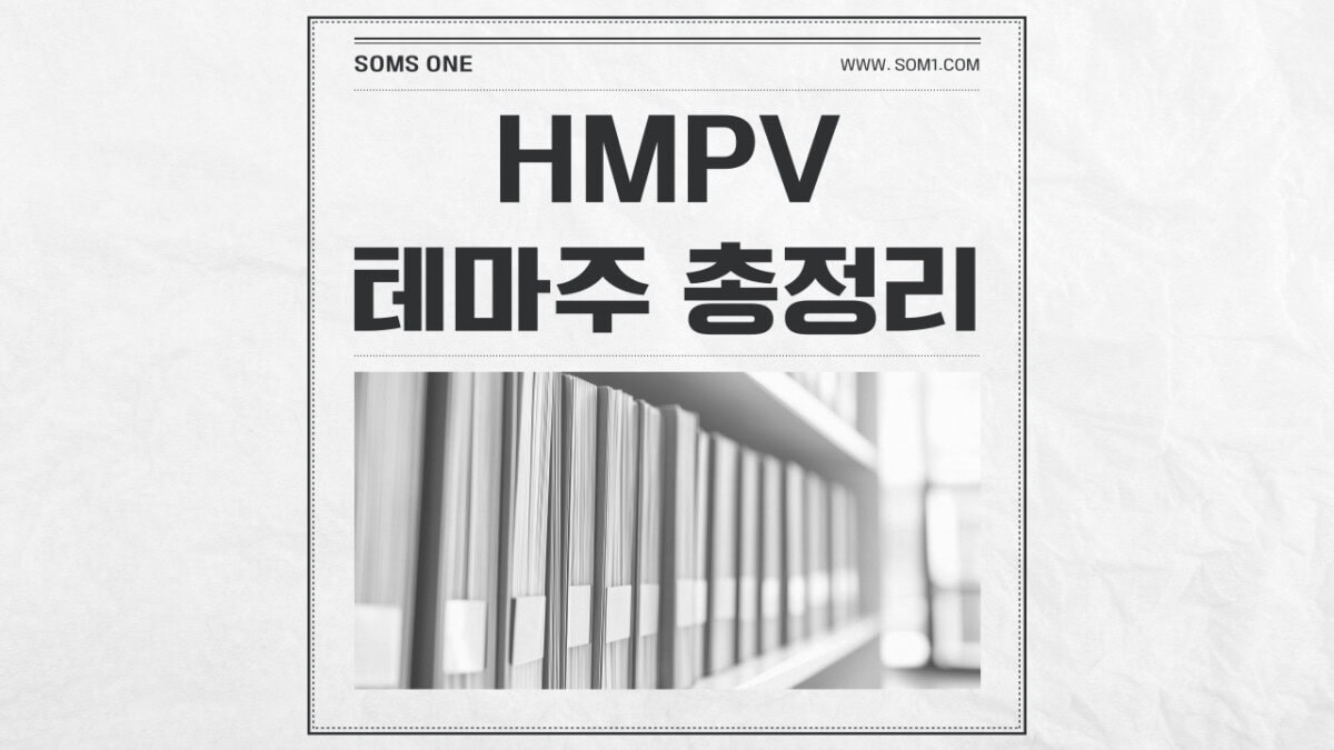 HMPV 관련주 13종목 총정리 (사람 메타뉴모)