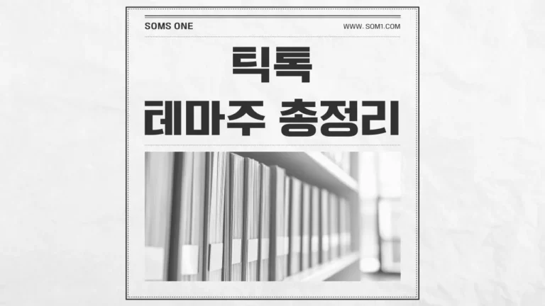 틱톡 관련주 11종목 총정리 (틱톡 매각 관련주)