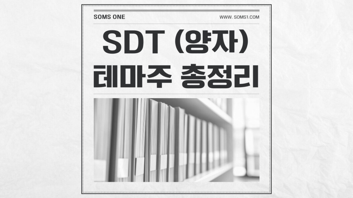 SDT 관련주 11종목 총정리 (SDT 테마주)